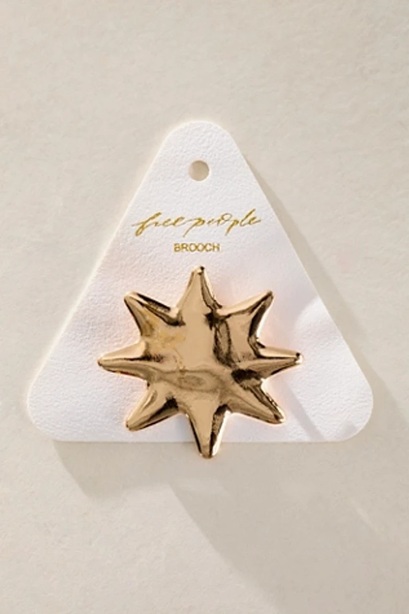 Keeping On Brooch