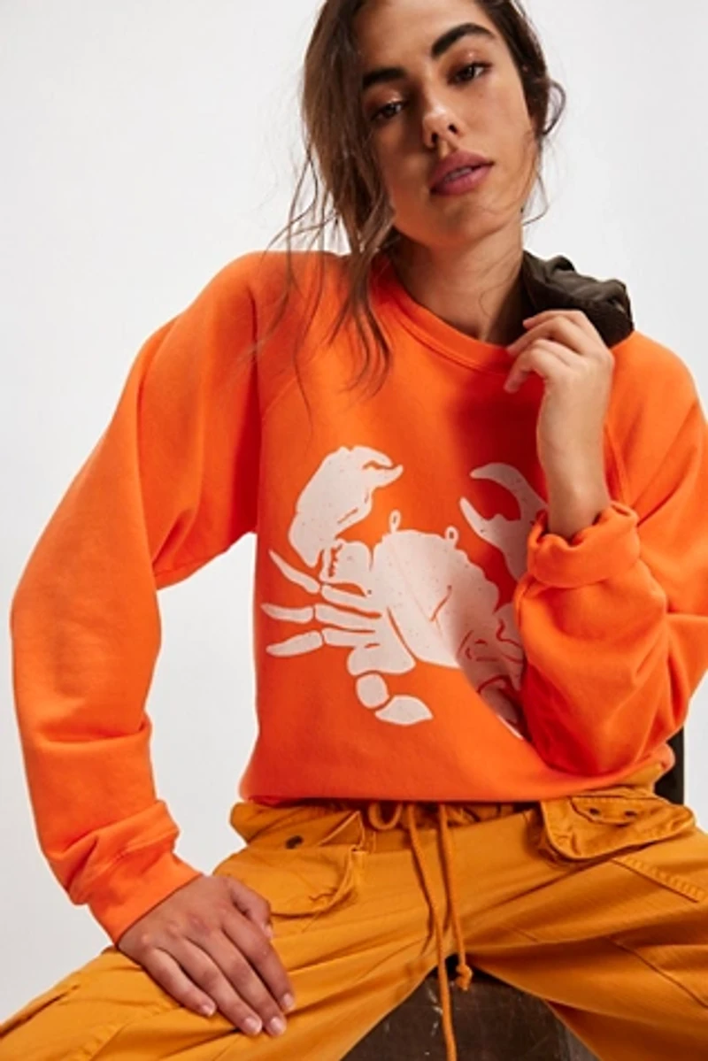 Sea Friends Pullover