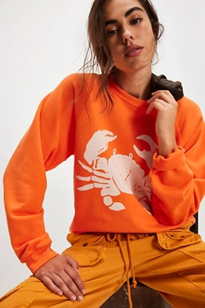 Sea Friends Pullover