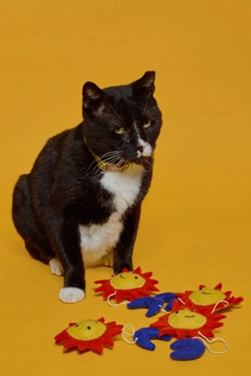 Ware of the Dog Wool Sun & Moon Cat Toy