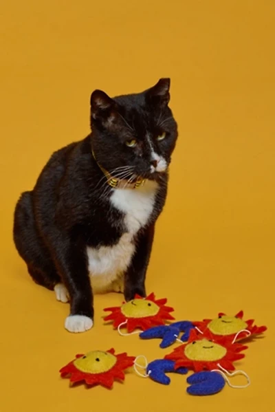Ware of the Dog Wool Sun & Moon Cat Toy