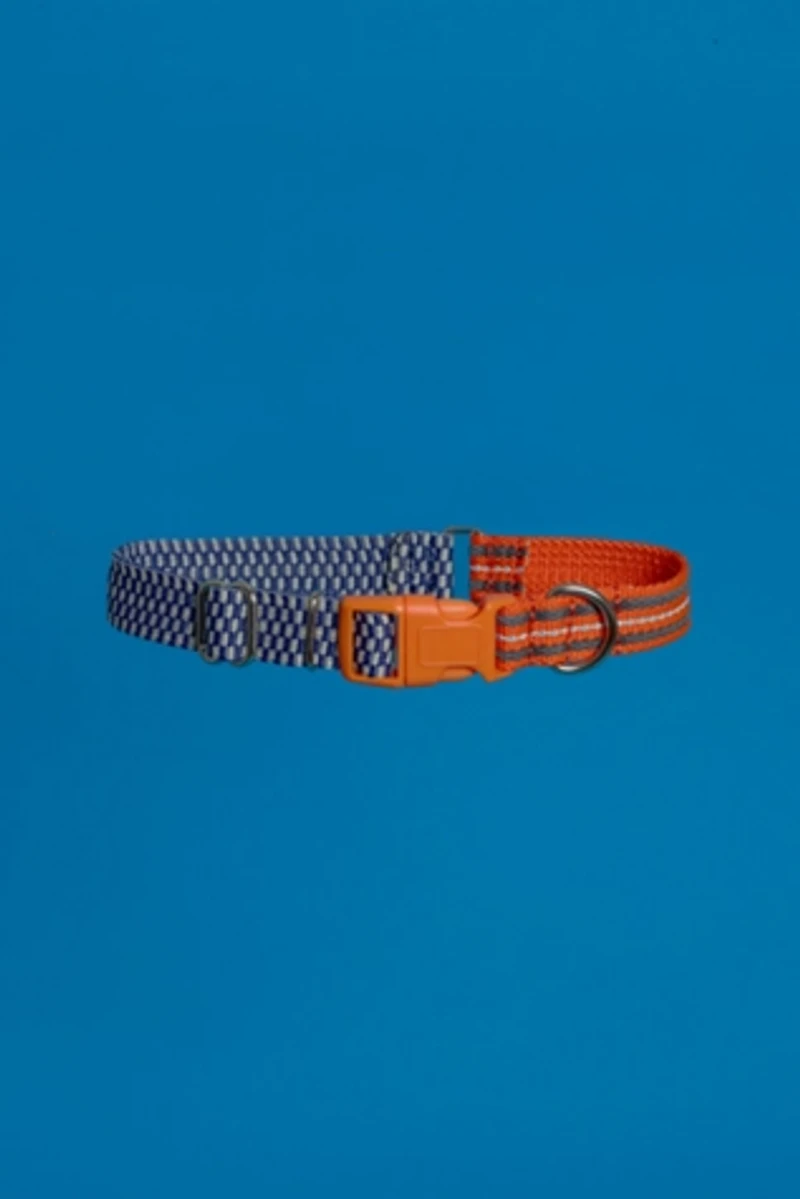 Ware of the Dog Checked and Striped Webbing Collar