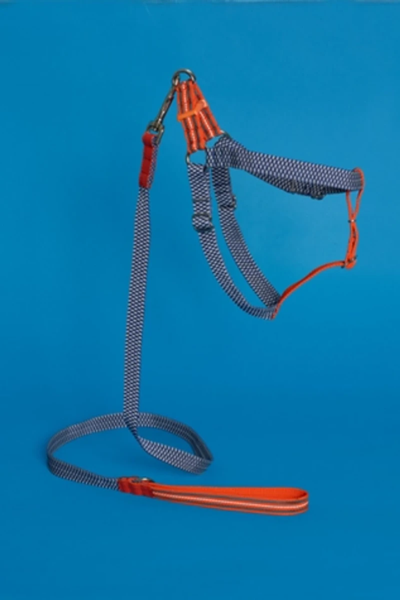 Ware of the Dog Checked and Striped Webbing Harness