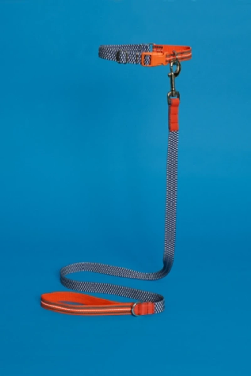Ware of the Dog Checked and Striped Webbing Leash