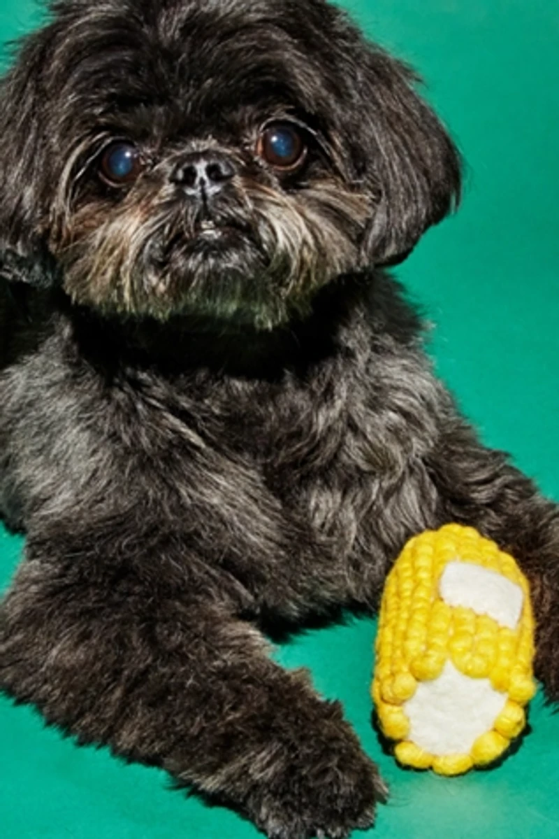 Ware of the Dog Wool Corn Dog Toy