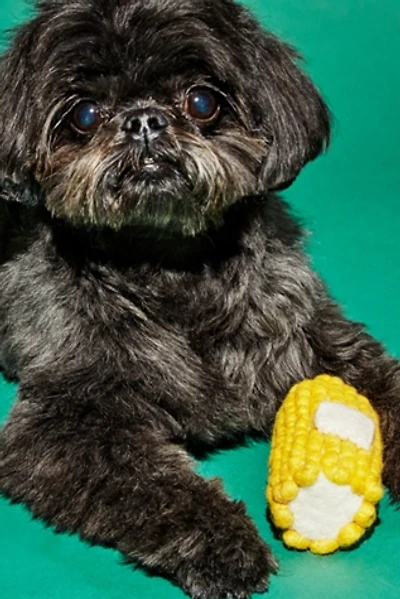Ware of the Dog Wool Corn Dog Toy
