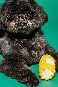 Ware of the Dog Wool Corn Dog Toy