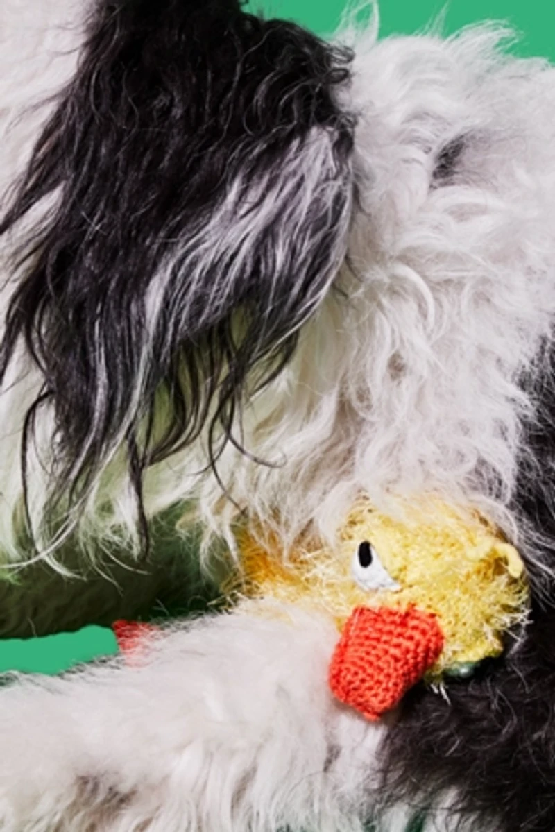 Ware of the Dog Hand Crochet Duck