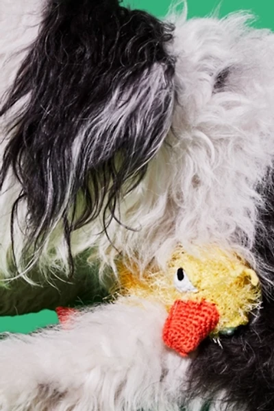 Ware of the Dog Hand Crochet Duck