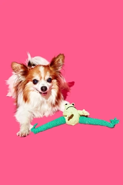 Ware of the Dog Hand Crochet Frog