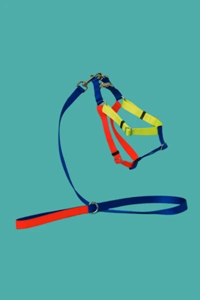 Ware of the Dog  Nylon Leash
