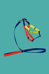 Ware of the Dog  Nylon Leash