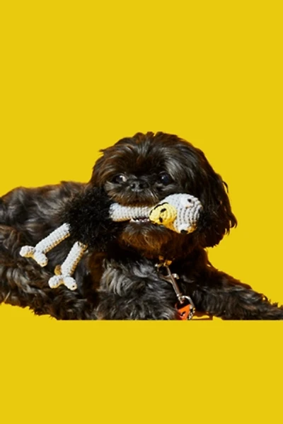 Ware of the Dog Hand Crochet Ostrich