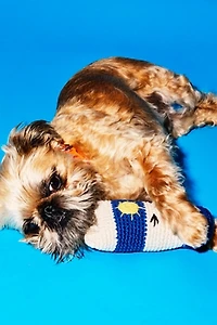 Ware of the Dog Hand Crochet Sun Tan Lotion