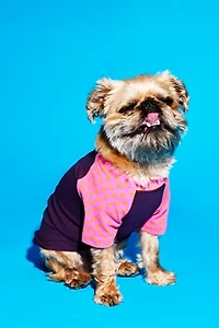Ware of the Dog Polka Dot T-Shirt