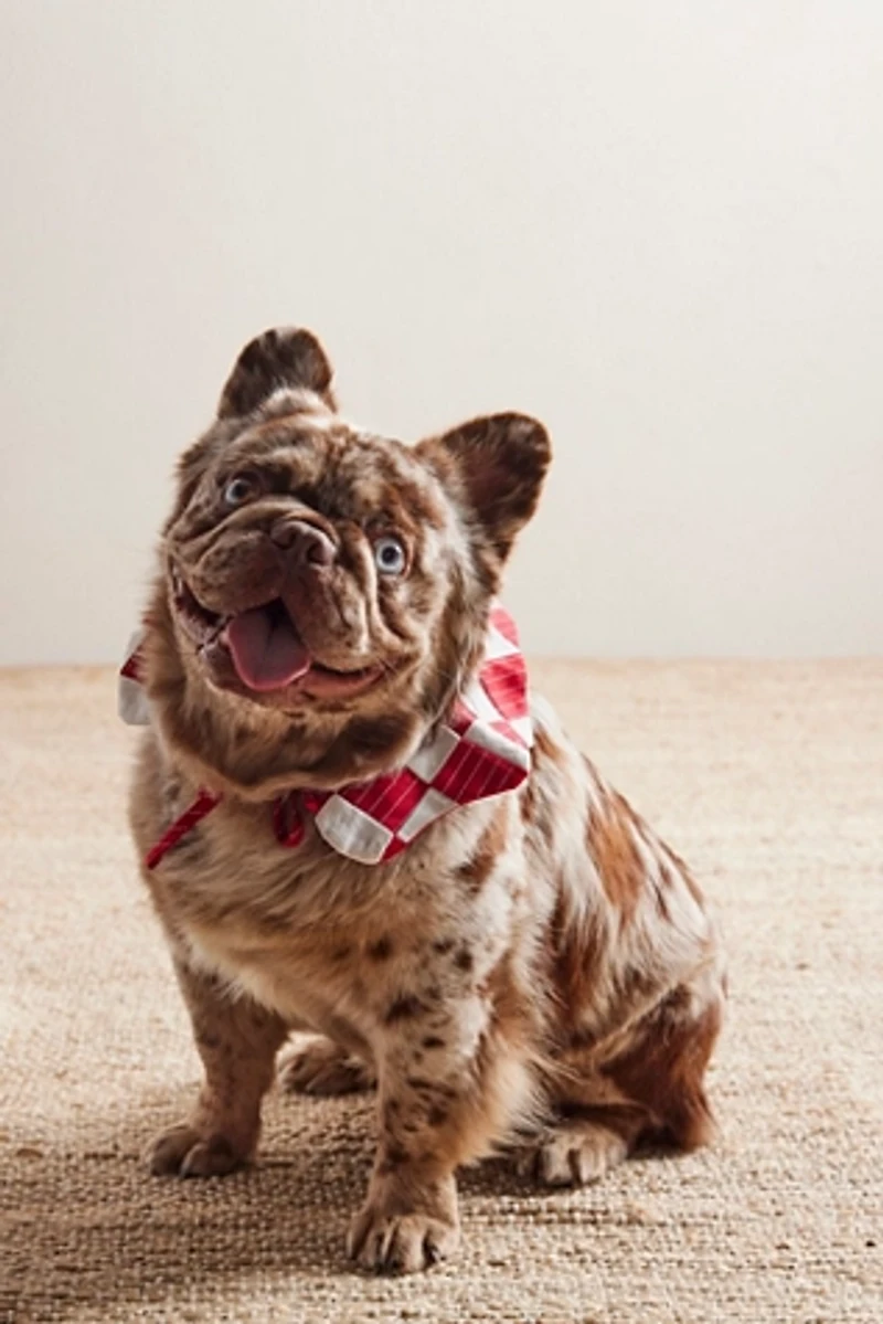 Fren x FP Exclusive Embrodiered Collar