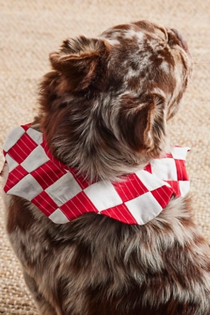 Fren x FP Exclusive Embrodiered Collar