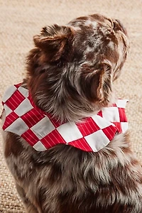 Fren x FP Exclusive Embrodiered Collar