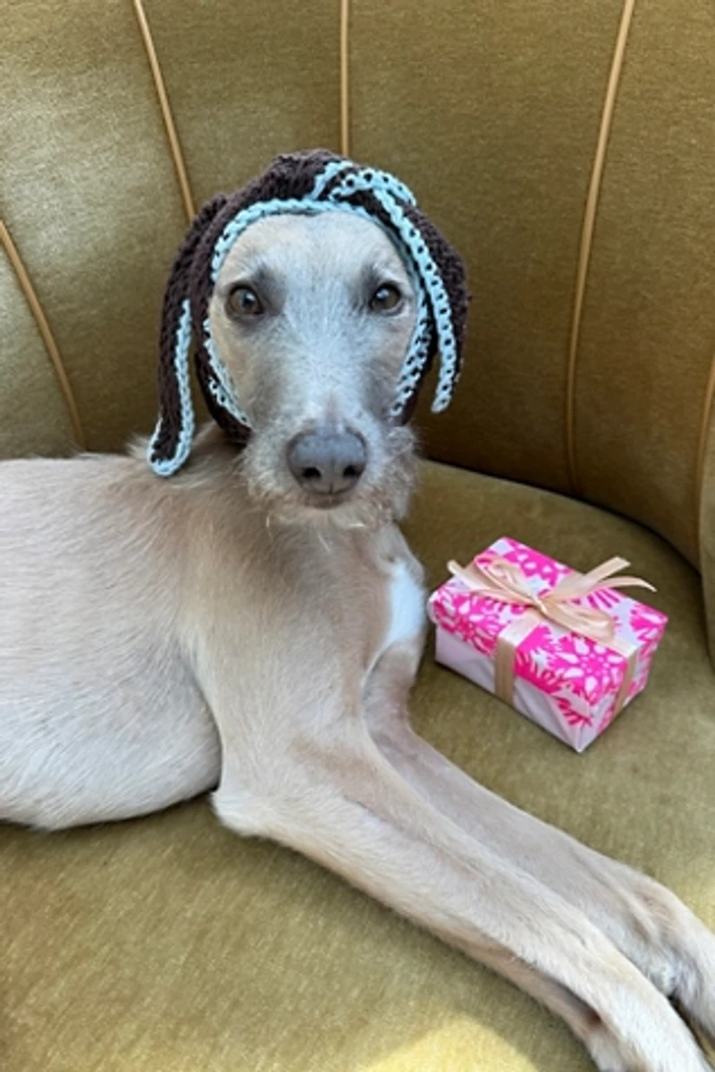 Edith Hand-Crocheted Bandana