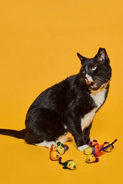 Ware of the Dog Wool Mouse Cat Toy