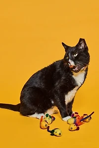 Ware of the Dog Wool Mouse Cat Toy