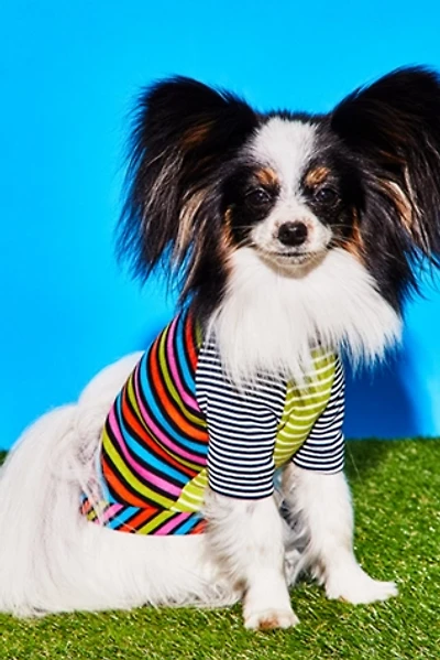 Ware of the Dog Multi Striped T-Shirt