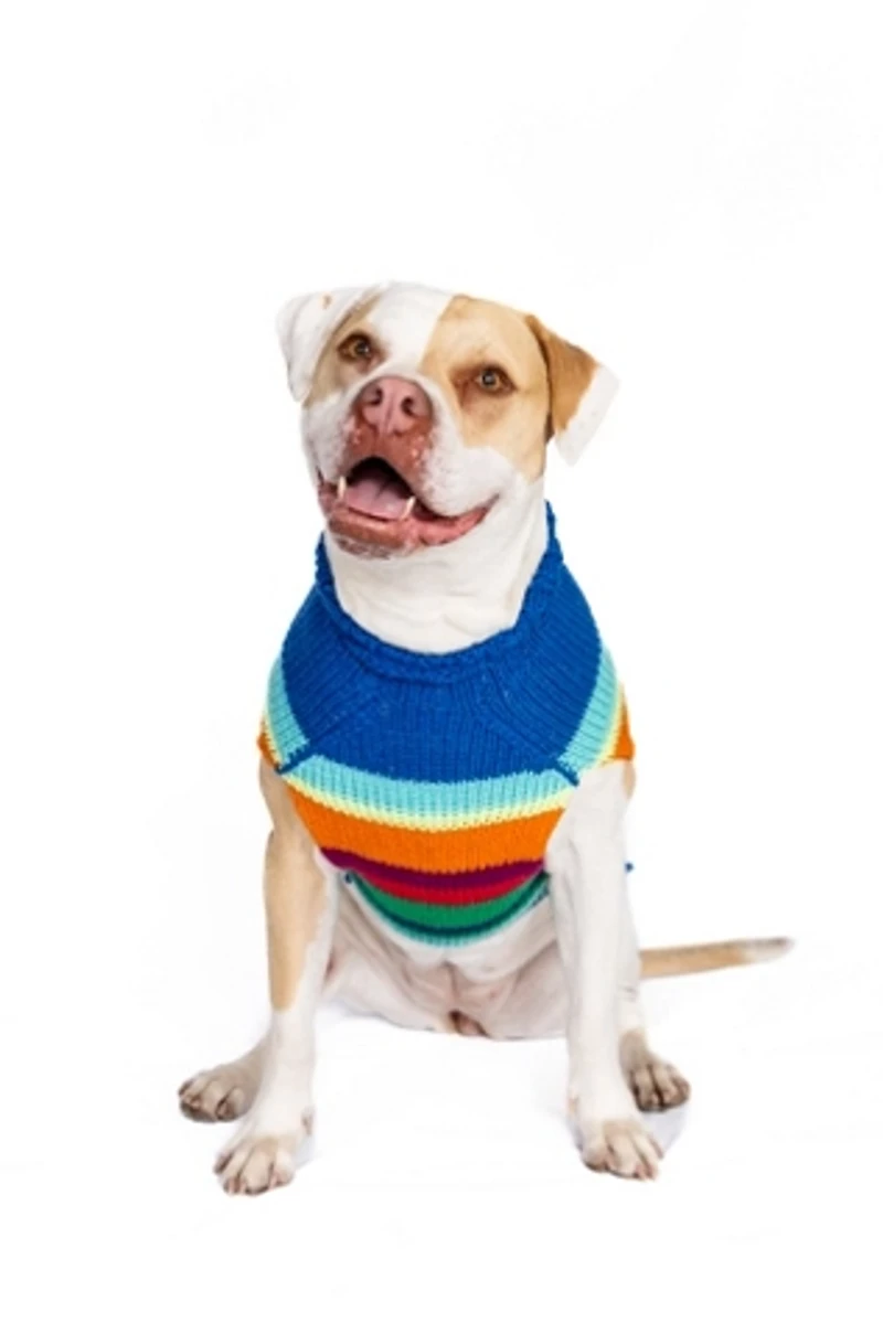 Chilly Dog Royal Alpaca Stripe Sweater