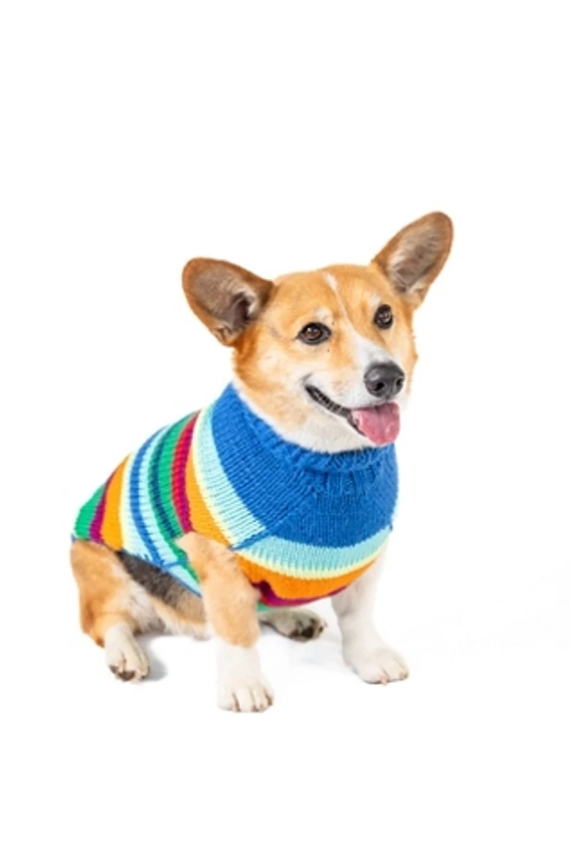 Chilly Dog Royal Alpaca Stripe Sweater