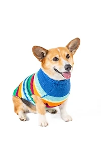 Chilly Dog Royal Alpaca Stripe Sweater