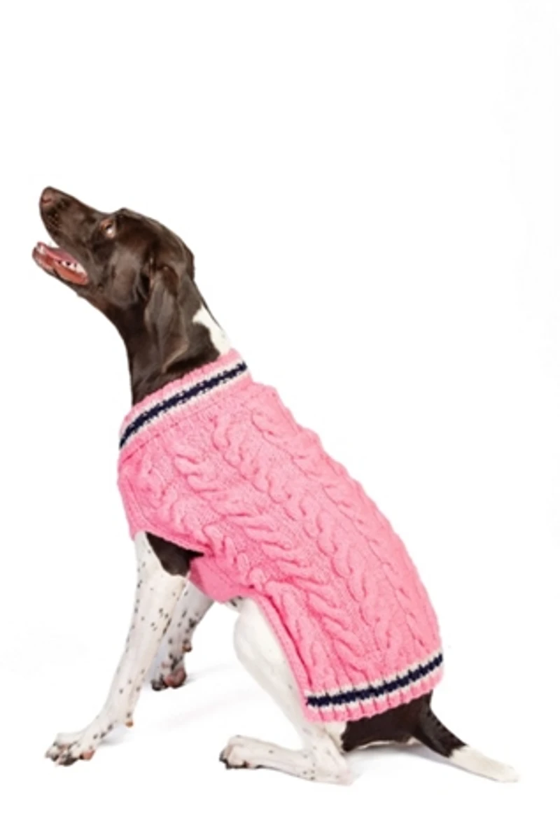Chilly Dog Preppy Sweater
