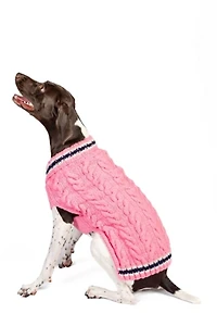 Chilly Dog Preppy Sweater