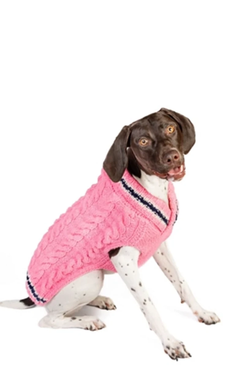 Chilly Dog Preppy Sweater