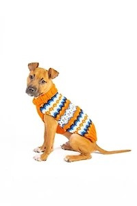 Chilly Dog Campfire Sweater
