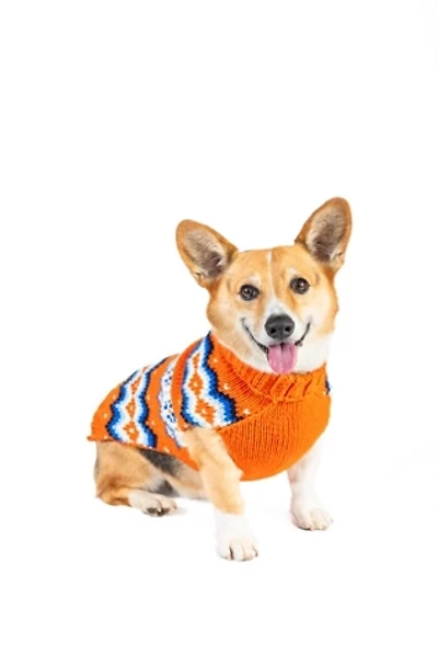 Chilly Dog Campfire Sweater