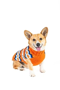 Chilly Dog Campfire Sweater