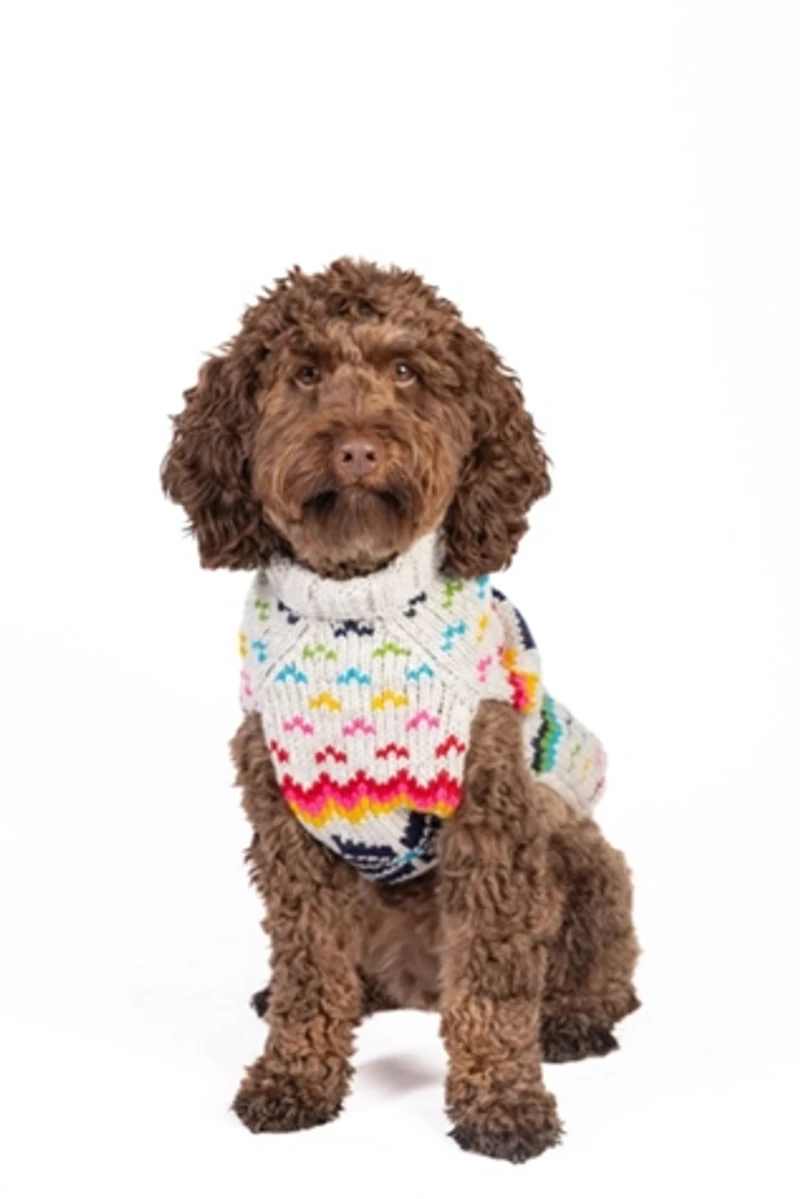 Chilly Dog Rainbow Snowflake Sweater