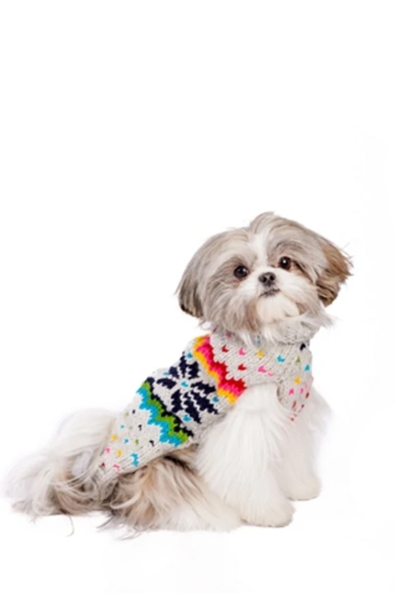 Chilly Dog Rainbow Snowflake Sweater