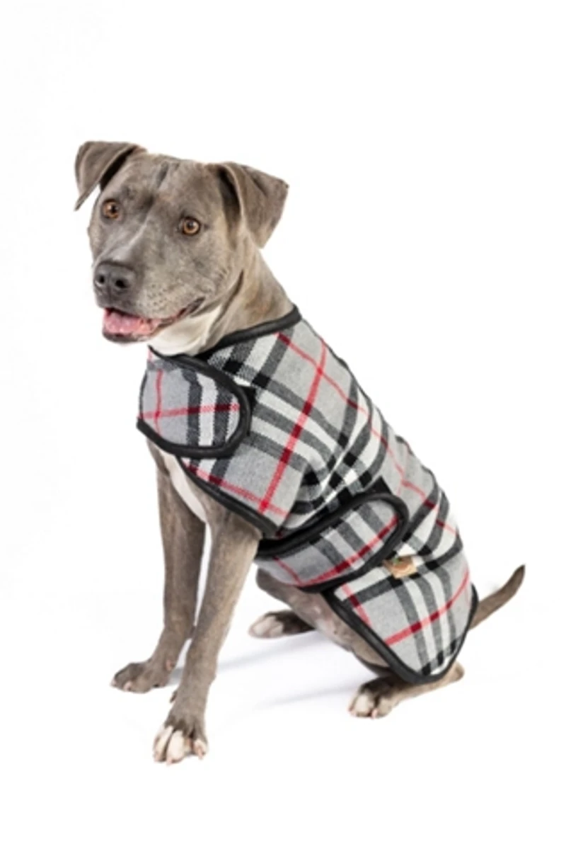 Chilly Dog Steel Tartan Plaid Coat