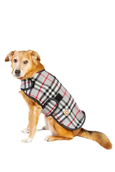 Chilly Dog Steel Tartan Plaid Coat