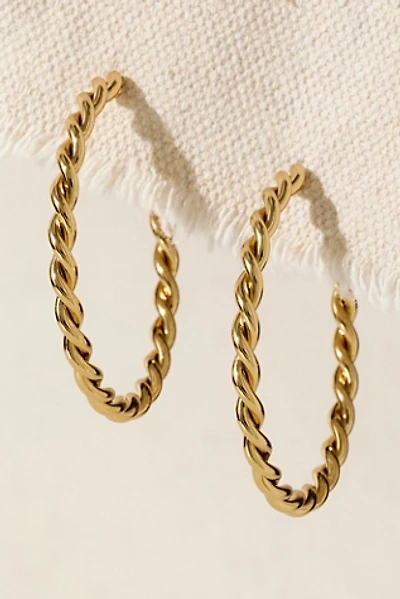 Frasier Sterlin Twisted Hoops
