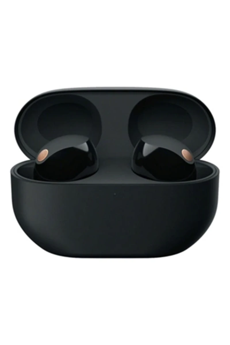 Sony WF-1000XM5 Truly Wireless Noise Canceling Earbuds