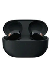 Sony WF-1000XM5 Truly Wireless Noise Canceling Earbuds