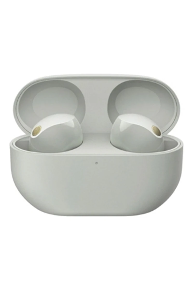 Sony WF-1000XM5 Truly Wireless Noise Canceling Earbuds