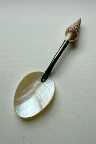 Vintage Seashell Spoon Selected by Wax Plant