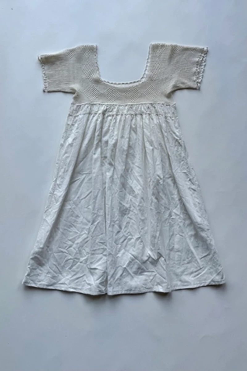 Antique Edwardian Dress Selected by Wax Plant