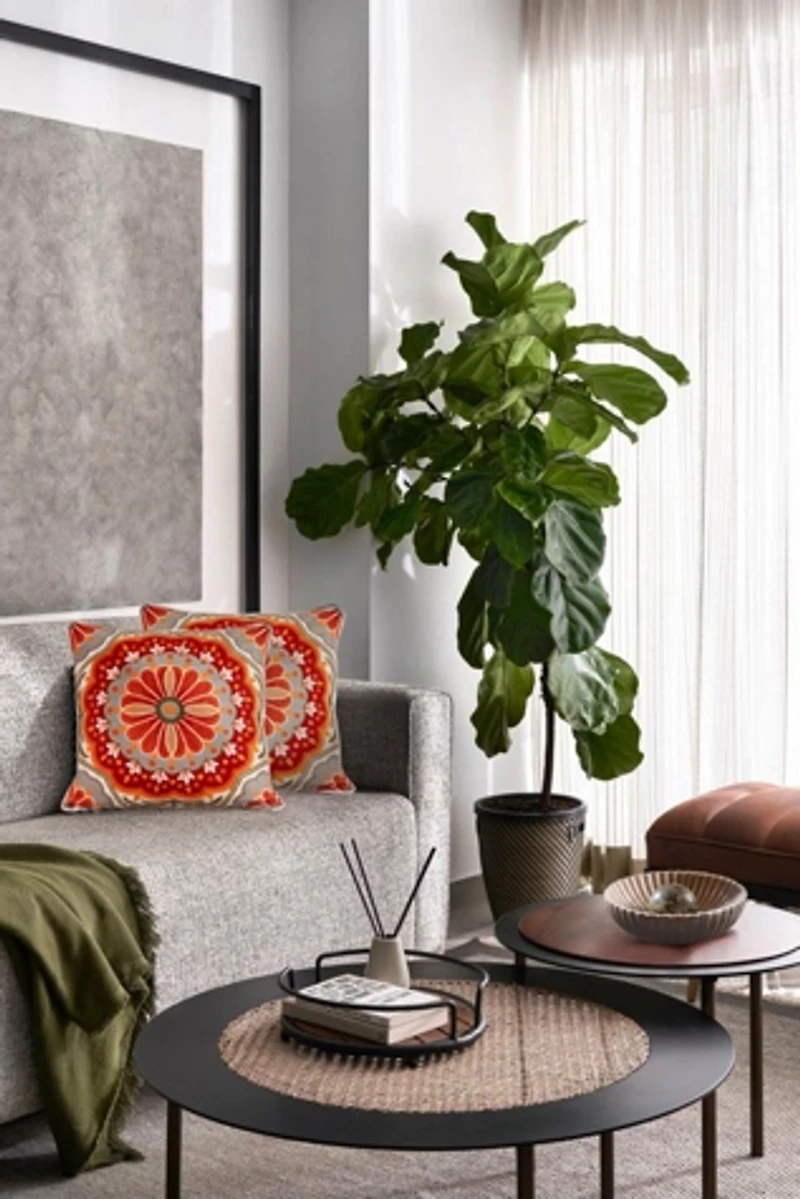 GAURI KOHLI Holi Pillow