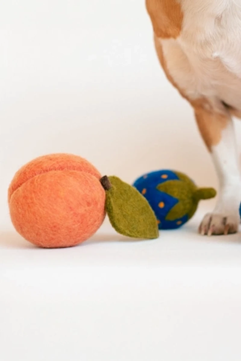 MODERNBEAST Doggy Peach