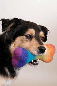 MODERNBEAST Rainbow Wool Bone