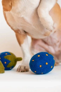 MODERNBEAST Doggy Strawberry