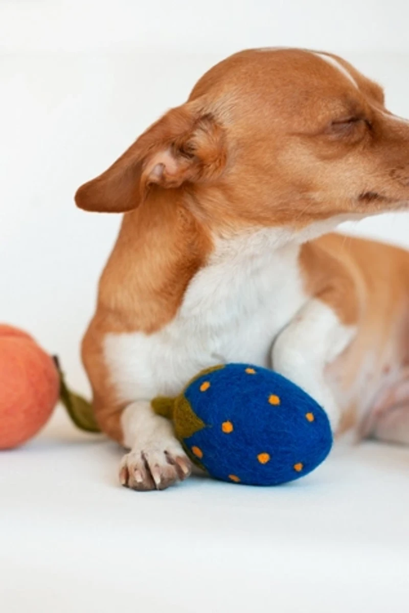 MODERNBEAST Doggy Strawberry